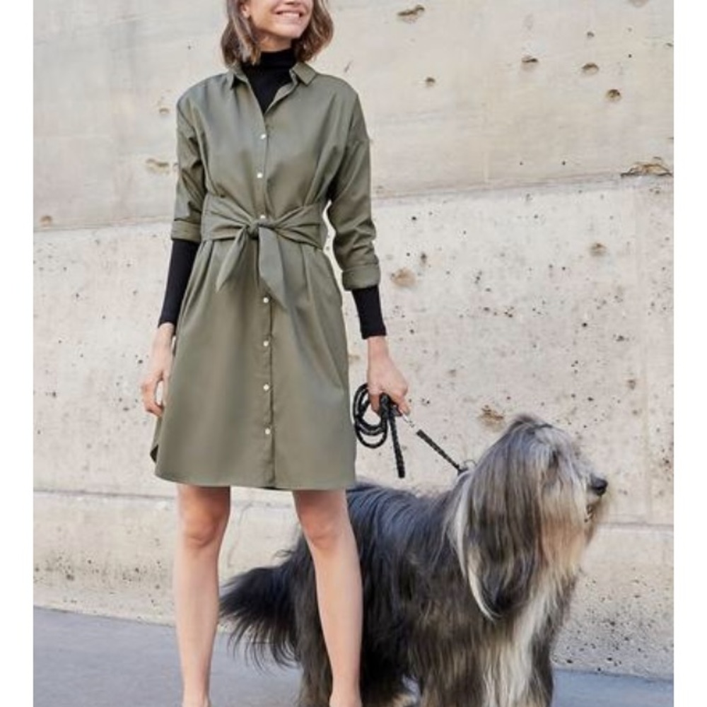 💗HP💗 NWT Amour Vert Wren Shirt Dress SOLD OUT